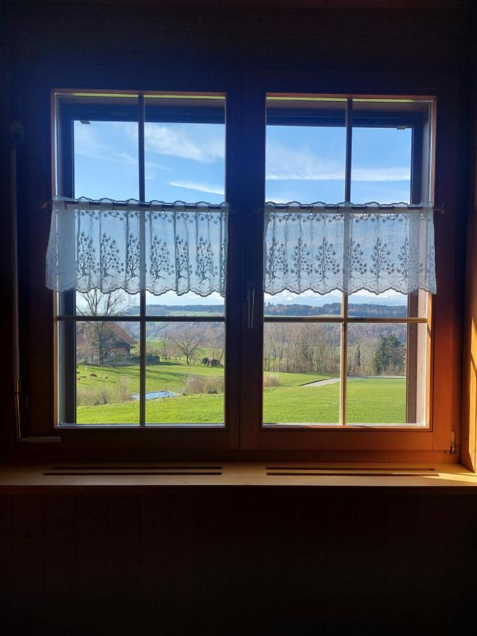 Alpenblick Ferenberg Bern Hotel Stettlen Bagian luar foto
