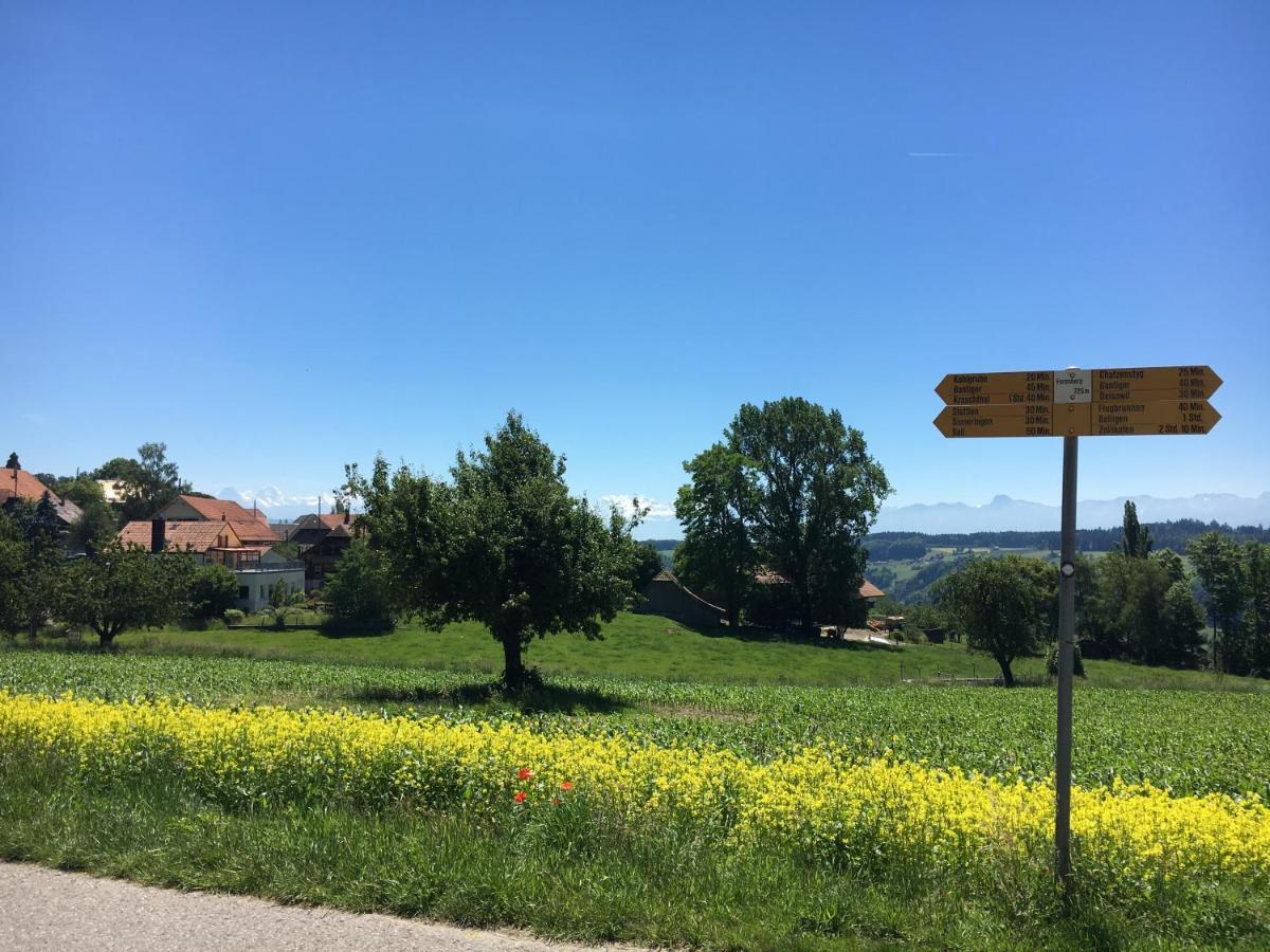 Alpenblick Ferenberg Bern Hotel Stettlen Bagian luar foto