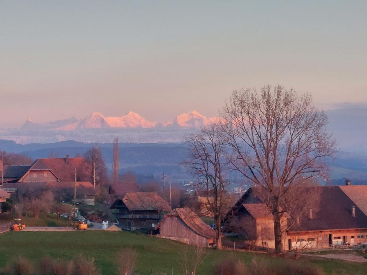 Alpenblick Ferenberg Bern Hotel Stettlen Bagian luar foto